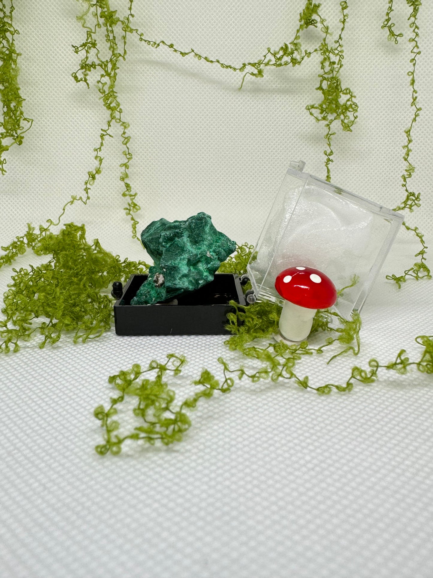 Velvet Malachite Specimen with Display Box