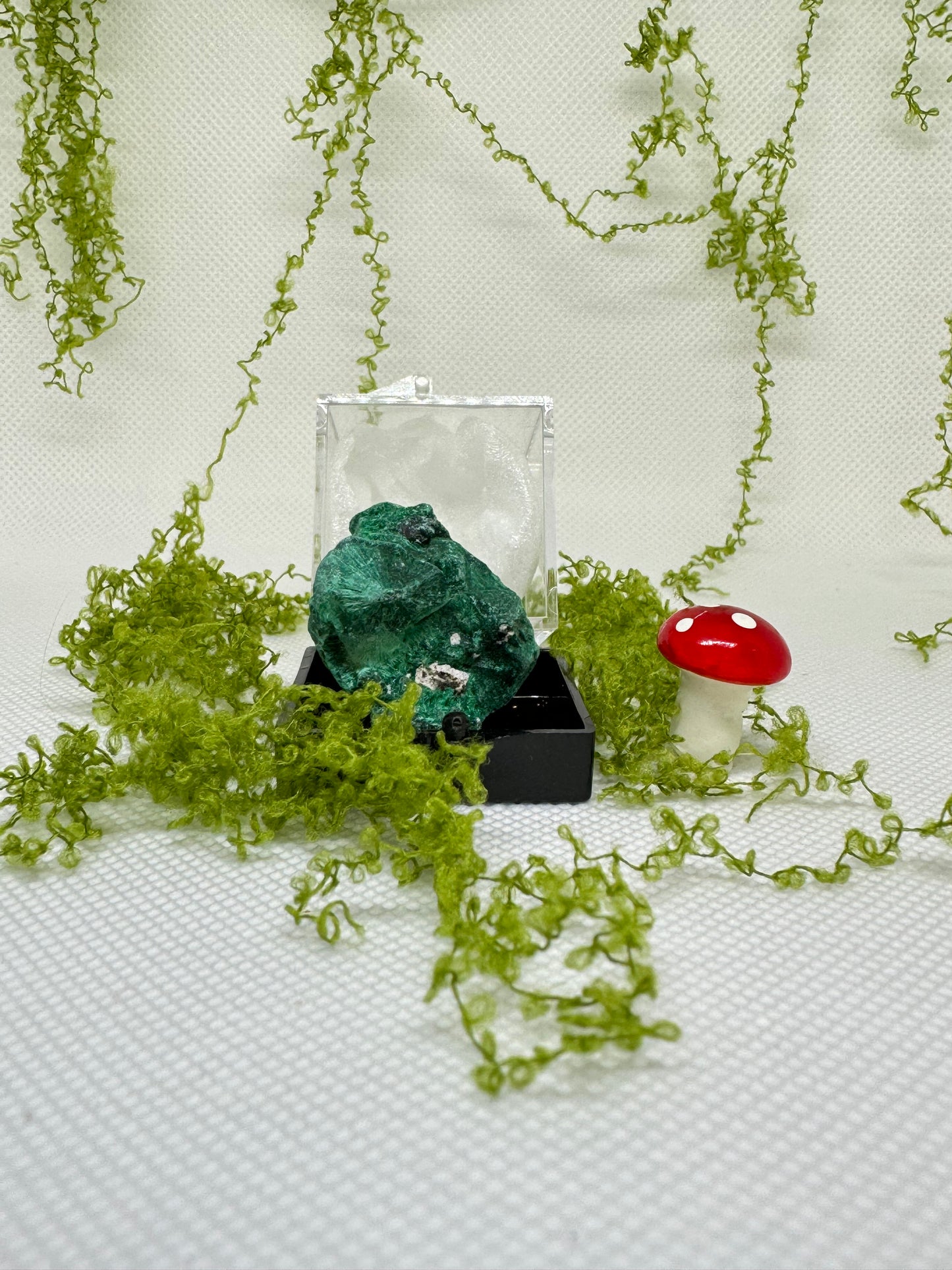 Velvet Malachite Specimen with Display Box