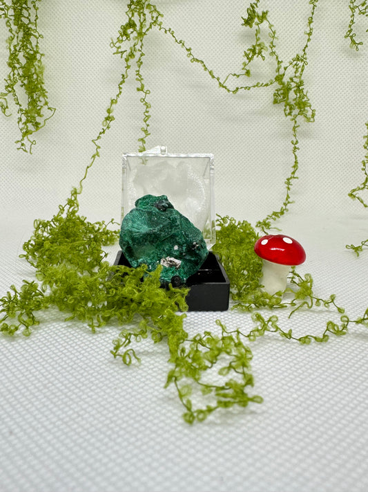 Velvet Malachite Specimen with Display Box
