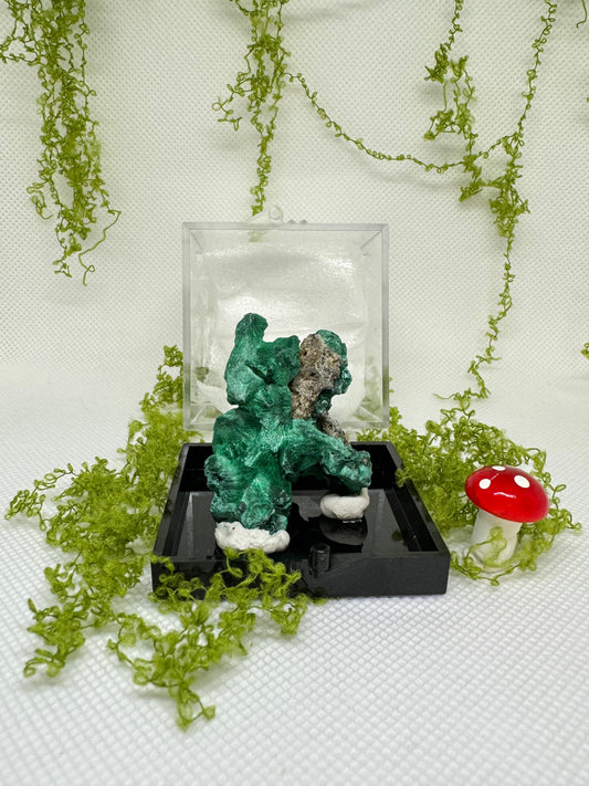 Malachite Specimen with Display Box