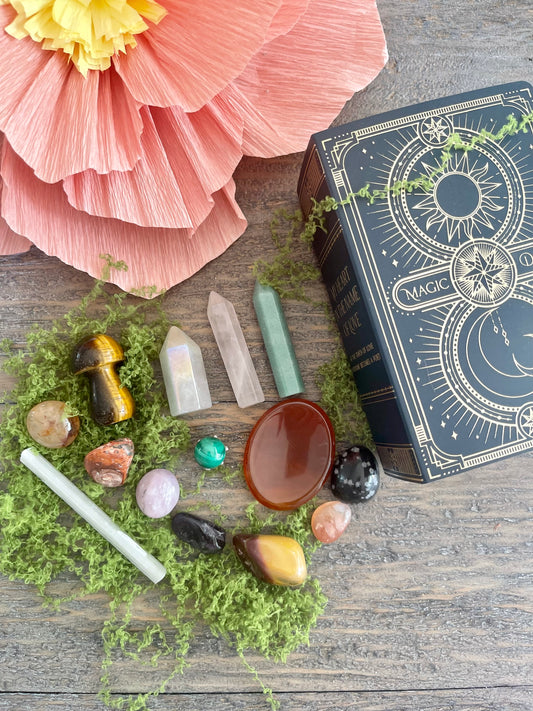 **DEAL**Enchanted Starter Bundle