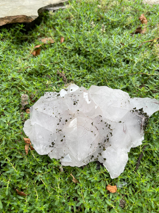 RARE Tourmalinated Quartz with Epidote Specimen